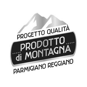 parmiagiano reggaino_ok3